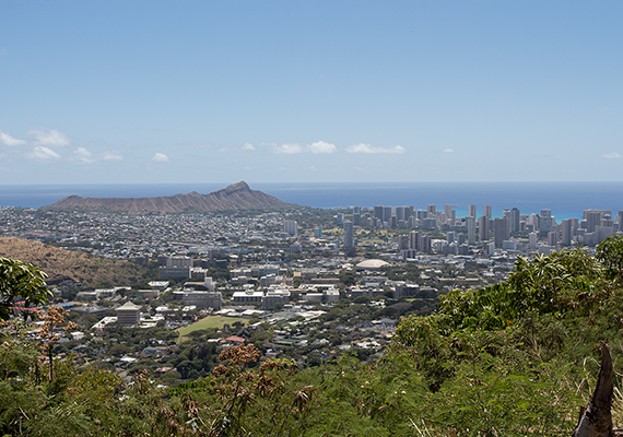 ganz Honolulu vom Berg aus fotografiert. Die Hotels verdecken leider die Sicht auf den Waikiki beach